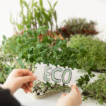 Doğadan İlham Alan Çevre Dostu Üretim Vizyonu